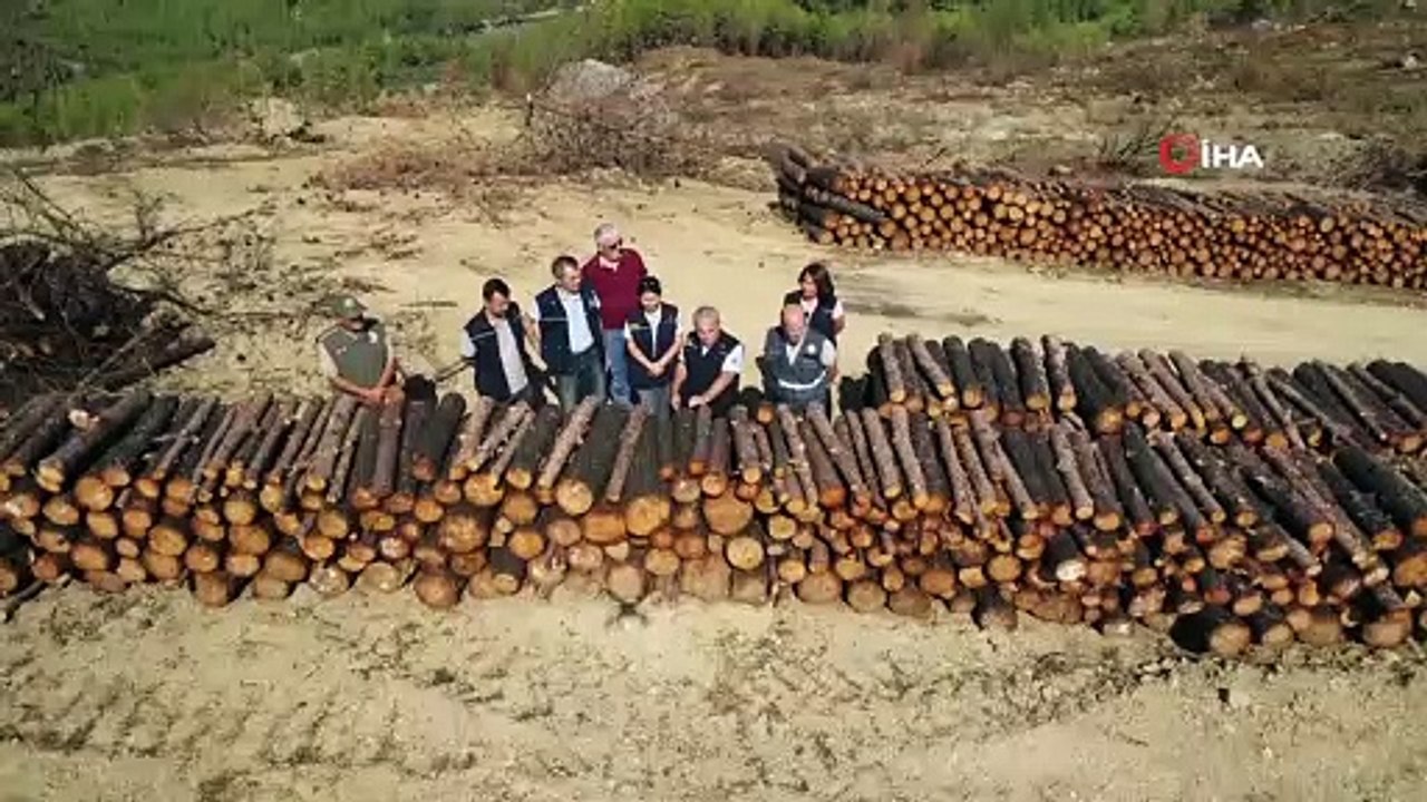 Dalaman ve Göcek tekrar yeşeriyor