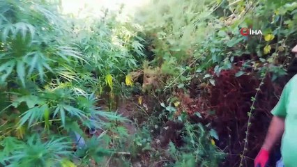 Balıkesir’de İHA destekli narkotik operasyonu