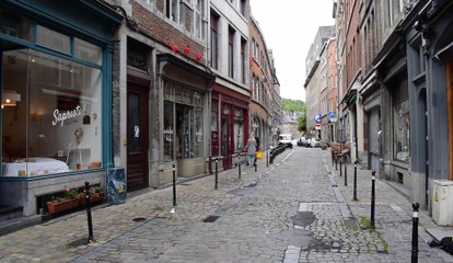Des fourmis géantes exposées dans le centre-ville de Namur