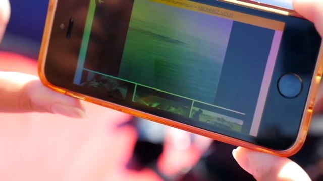 En Méditerranée, les cétacés gagnants du confinement, de nouveau en danger