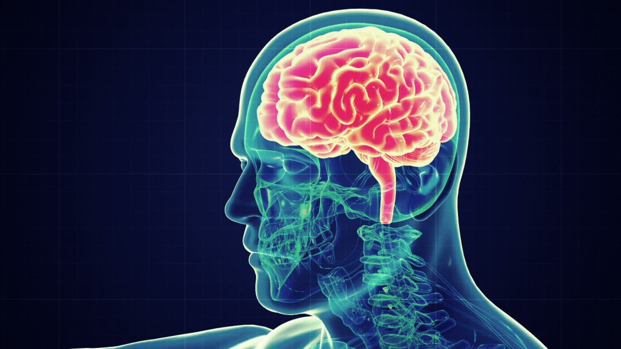 Study: Coronavirus Linked To Brain Damage