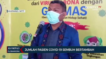Pasien Covid-19 NTT Yang Dirawat Masih 29 orang