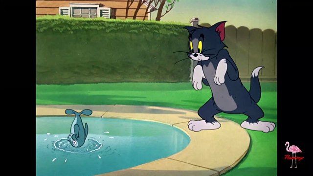 Tom And Jerry Fish