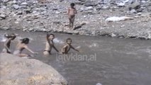 Lumi Shkumbin i ndotur - (2 Korrik 2000)