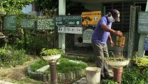 Les jardins urbains se multiplient à Cuba pour survivre en temps de pandémie