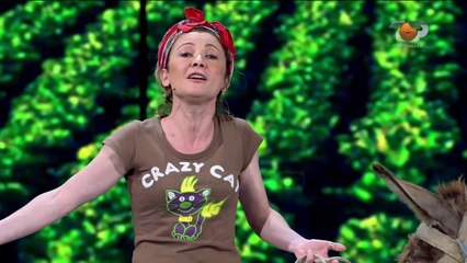 Portokalli, 28 Qershor 2020 – Zimbilja ( Çertifikimi i gomarit )