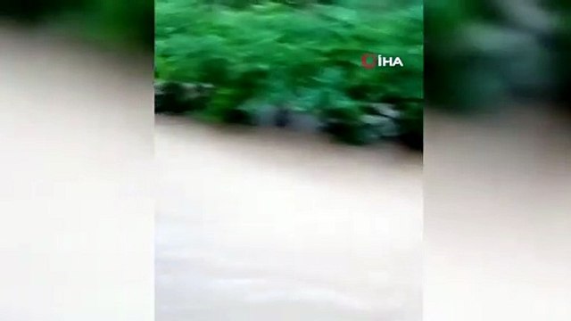 Sağanak yağış sele neden oldu...Ekili araziler zarar gördü