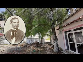 Eksperti e konfirmon për Report Tv: Pema e Piperit në qendër të Sarandës e mbjellë nga Naim Frashëri