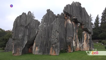 7pa5 - Nje udhetim virtual ne magjine e Madagaskarit  - 30 Qershor 2020 - Show - Vizion Plus