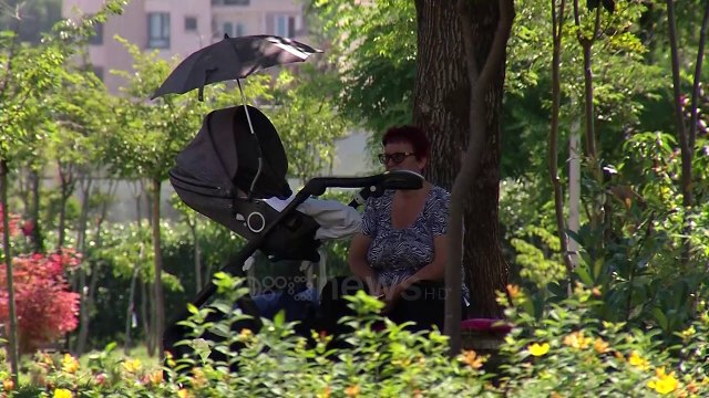 Betonizohet Liqeni, qytetarët kundër projektit për ndërtimit e godinës 9 katëshe: Mori fund Tirana!