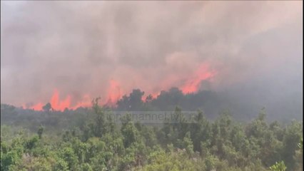 Top News - Zjarr në Karaburun/ Kërkohet ndërhyrja nga ajri