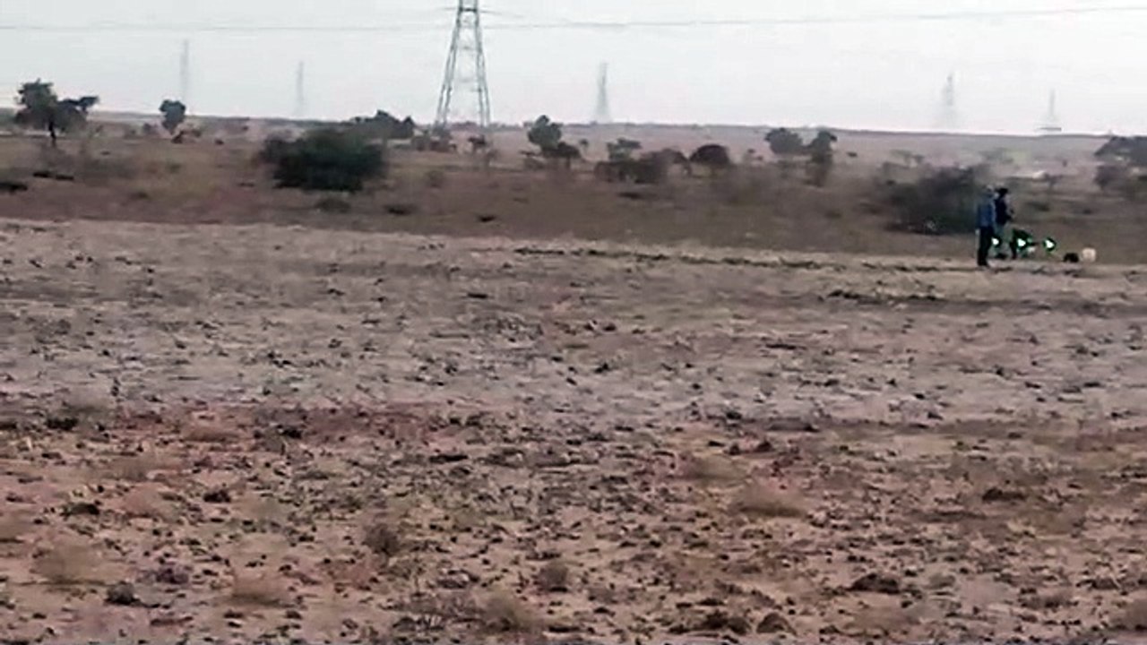 कलक्टर ने रामगढ़ क्षेत्र में टिड्डी नियंत्रण गतिविधियों का अवलोकन किया