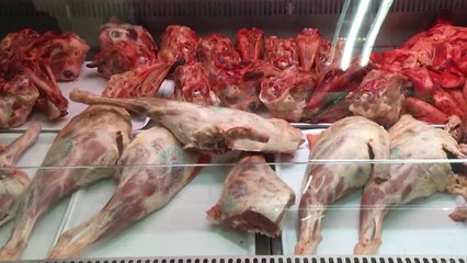 Ora News - Më pak qumësht dhe mish, INSTAT: Numri i Gjedhëve ka rënë me 11.7 përqind