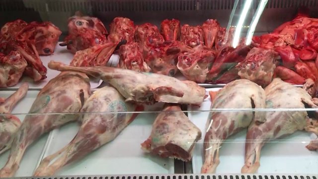 Ora News - Më pak qumësht dhe mish, INSTAT: Numri i Gjedhëve ka rënë me 11.7 përqind