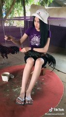 Cewek cantik ini pintar rawat ayam jago yuk tonton agar loe tau