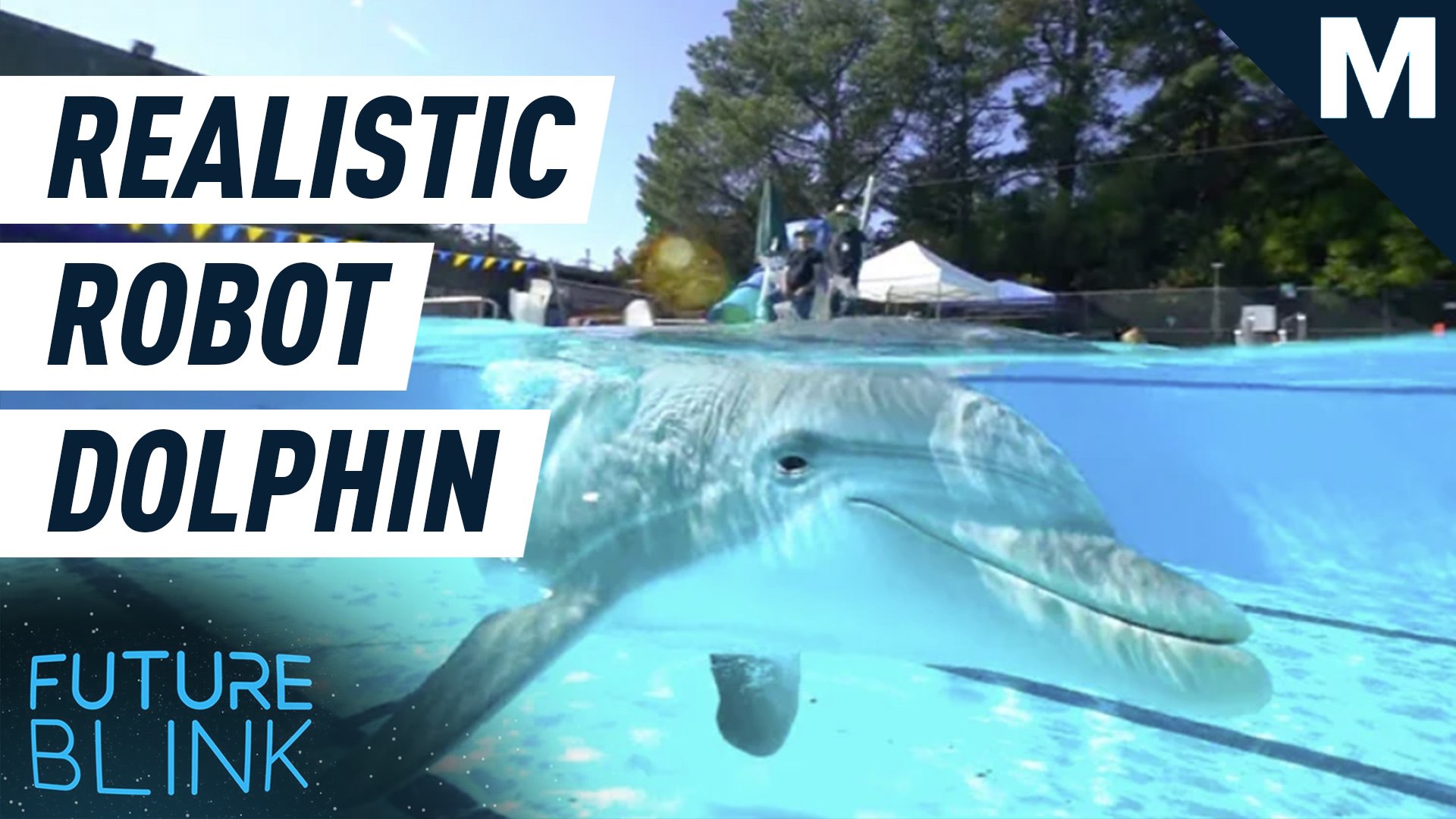 ⁣These hyper-real robotic dolphins could replace captive dolphins in shows — Future Blink