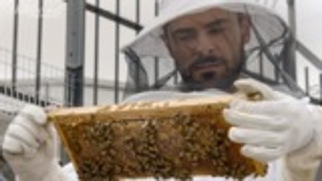 Now Screening: Watch 'P-Valley,' 'Down to Earth With Zac Efron' & More This Weekend (7/10) | THR News