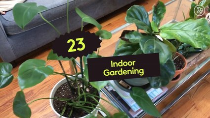 How To Start An Indoor Garden