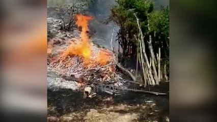 Download Video: Ora News - Digjen nga zjarri dy banesa në fshatin Juban të Shkodrës