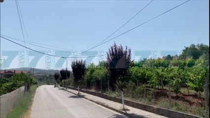 GRABITJE NE SERI NE ZONEN E PATOSIT, BANORET «PO NA VJEDHIN BAGETITE» - News, Lajme - Kanali 7