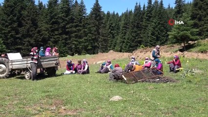 Hayvan otlattıkları meraları iş makinesiyle tahrip edilen köylüler nöbet tutuyor