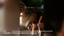 Top News - Në pranga tre persona/ Pogradec, sekuestrohen 14 kg kanabis