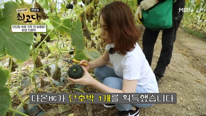 잘 익은 단호박을 찾으러 출발!
