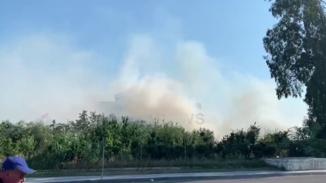 Ora News - Durrës, pemët pranë Urës së Dajlanit përfshihen nga flakët