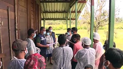 Pandemia "muy intensa" sigue matando en Brasil y produce récord de contagios en EEUU