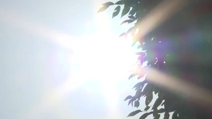 [날씨] 주말 무더위...영동 낮까지 비, 충청·남부 소나기 / YTN