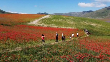 Top News - Lugina e luleve/ Umbria, spektakël pa spektatore