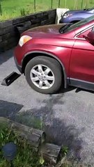 Squirrel Saved from Full Rain Bucket