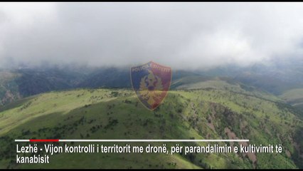 Download Video: Kontrollet me dron zbulojnë tokën me kanabis/ Arrestohet 25-vjeçari