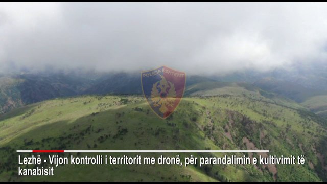 Report TV - Kontrolli me dron i zbulon kanabisin, pranga të riut në Mamurras, iu gjet edhe një armë