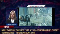 More evidence emerges that a TB vaccine might help fight coronavirus - 1BreakingNews.com