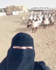 Sana Saeed - I’ve watched this video a few dozen times since yesterday and now whenever she sings, I join the goats.