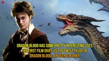 HARRY POTTER FACTS YOU DIDN'T KNOW