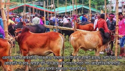 করনায় কুরবানী না করলে কি গুনাহ্ হবে_ করোনায় কুরবানী হাট বিতর্ক ও প্রাসঙ্গিক ৫টি কমন প্রশ্নের উত্তর