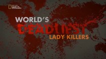 World's Deadliest - LADY KILLERS - Nat Geo WILD HD