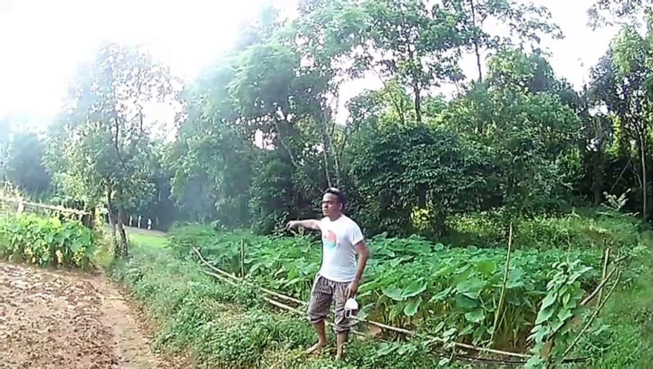 A nice journey in natural green haven Dhaka dakshin, Golabganj |  A city 2 town 2 village 2 river