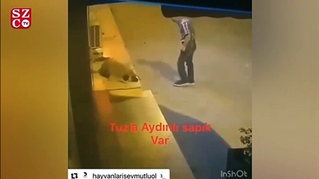 Tuzla’da mide bulandıran olay!