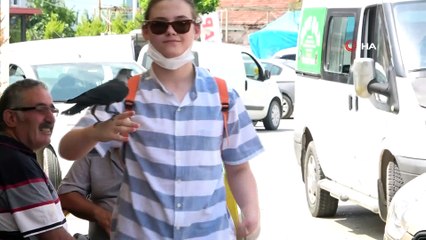 Bu görüntüler bildiklerinizi unutturacak...Kargalar aptal ve nankör değilmiş