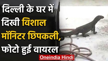 Viral Pic :दिल्ली के घर में दिखी विशाल मॉनिटर छिपकली, फोटो हुई वायरल | वनइंडिया हिंदी