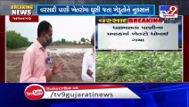 Water enters fields, farmers worried  - Jamnagar