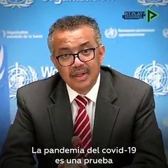 Download Video: Viendo la lamentable interpretación del director de la OMS en una rueda de prensa, nos extraña que solo se haya ido EEUU de esa organización y que este tipo no esté encarcelado