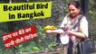 Beautiful Bird in Bangkok, Bird sanctuary/हाथ पर बैठ कर पानी पीती चिड़िया  / Colourful birds