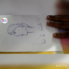 Draw a human Face