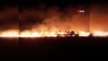 - Kayseri'de çıkan yangında 55 dönüm ekili alan küle döndü