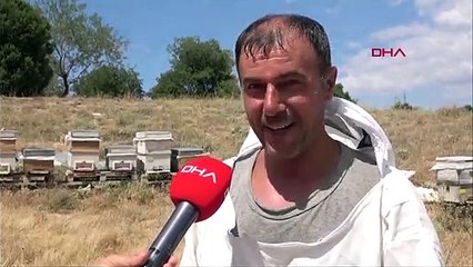 Lavanta balının kilosu 300 TL