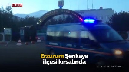 Gri listedeki terörist etkisiz hale getirildi